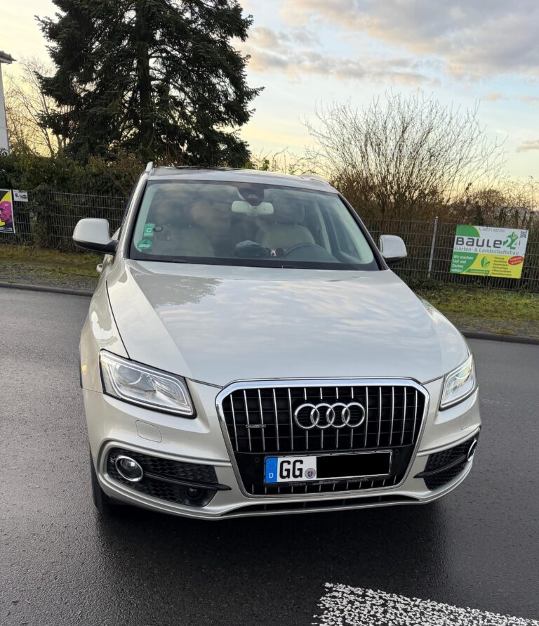 PKW Begutachtung vor Ort.